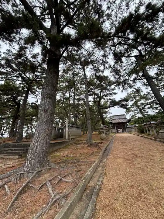 住吉神社(兵庫県)