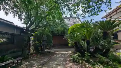 光徳寺(京都府)