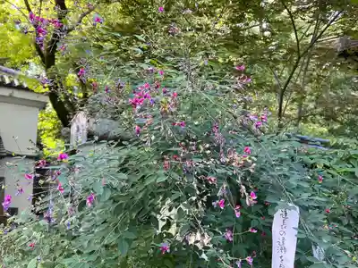 梨木神社(京都府)