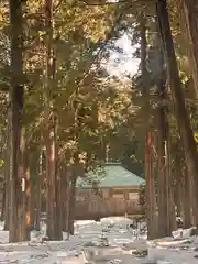 平泉寺白山神社(福井県)