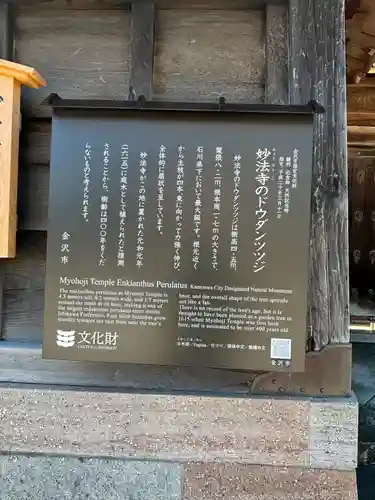 妙法寺(石川県)