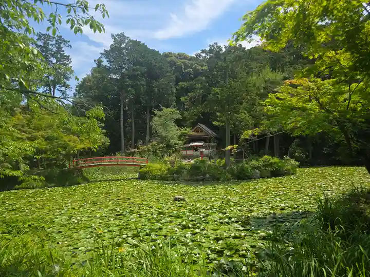 若宮社(大原野神社摂社)(京都府)