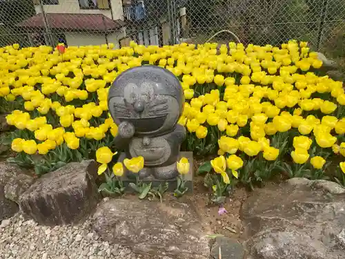 泉蔵寺の狛犬