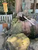 諏訪大社(長野県)