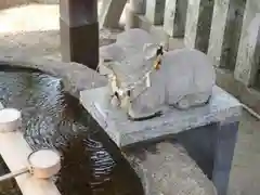 羊神社の手水