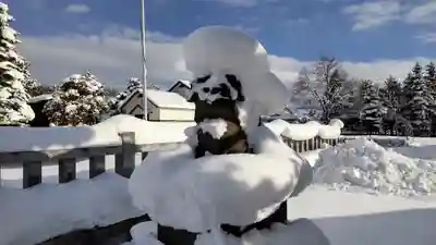 美瑛神社の狛犬