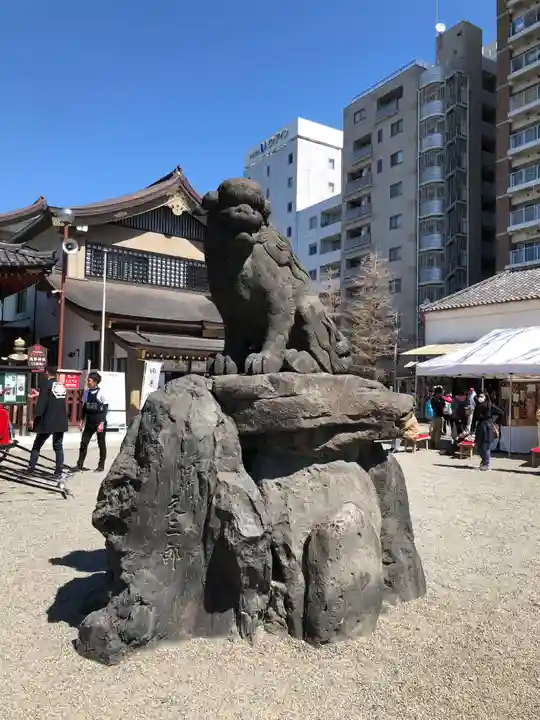 浅草神社の狛犬