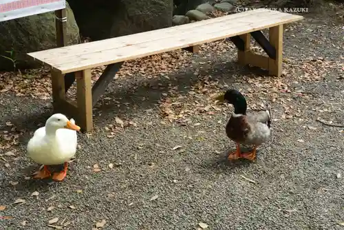 平塚八幡宮(神奈川県)