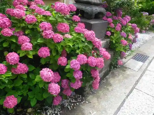 五所神社の自然