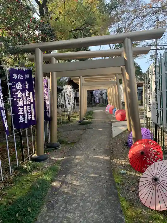 白金龍王社(愛知県)