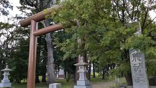 真龍神社の鳥居