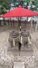 浅草神社の狛犬