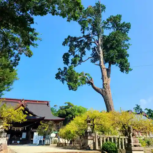 矢奈比賣神社（見付天神）(静岡県)
