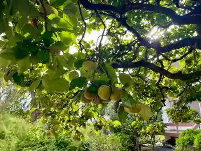 花蔵院(東京都)