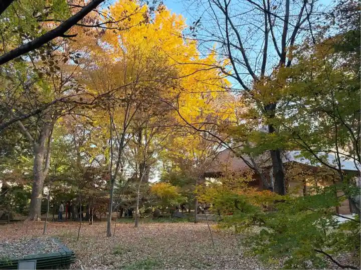 淨眞寺(東京都)