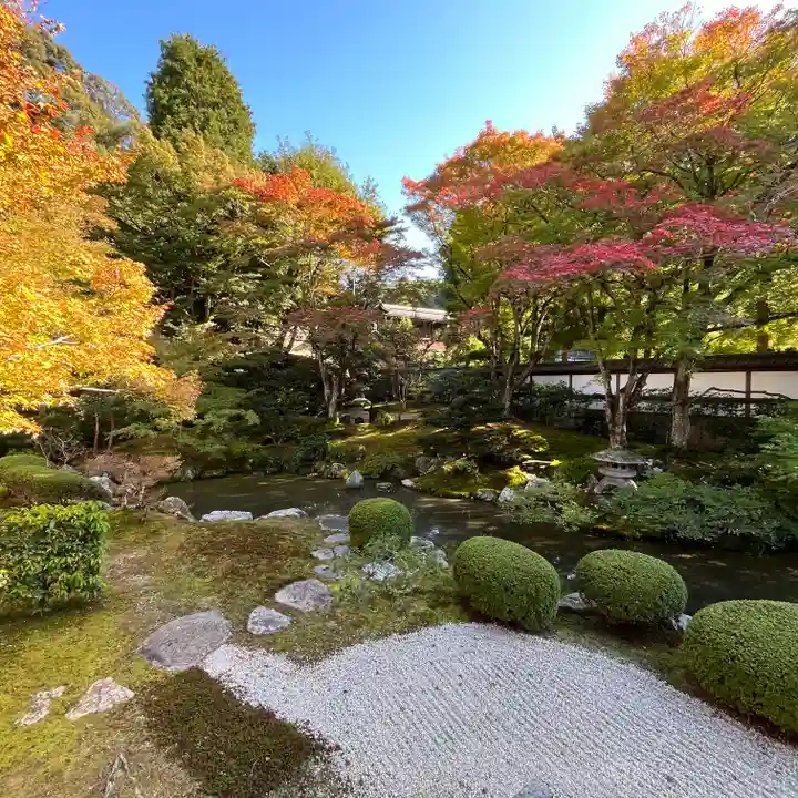御寺 泉涌寺(京都府)