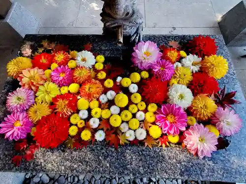 滑川神社 - 仕事と子どもの守り神の手水舎
