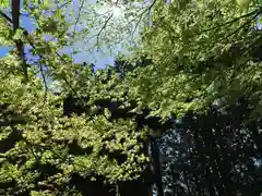 滑川神社 - 仕事と子どもの守り神(福島県)