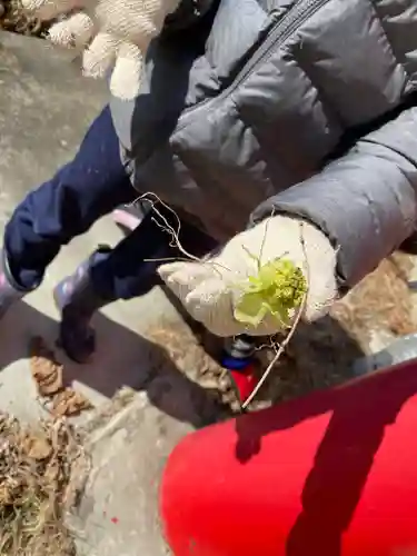 長光寺(長野県)