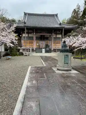真龍寺の本殿・本堂