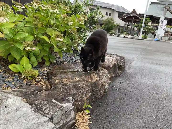 眞中神社(岐阜県)