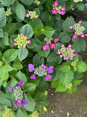 能護寺(埼玉県)