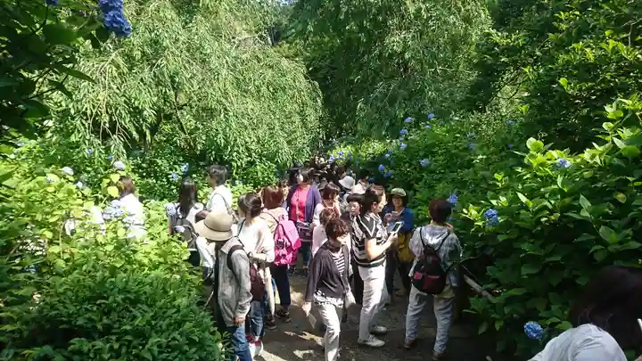 明月院(神奈川県)