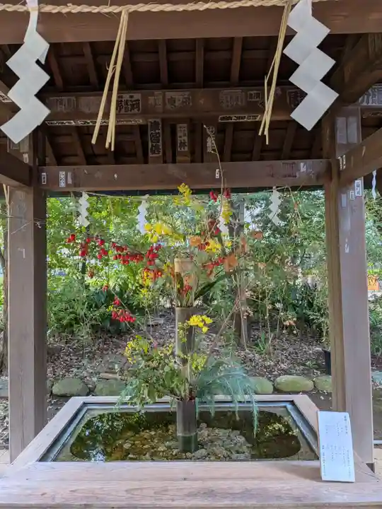 赤坂氷川神社(東京都)
