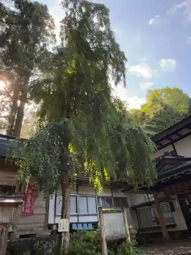 早池峯神社(岩手県)