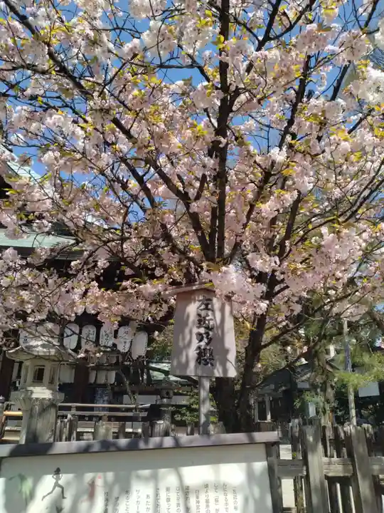 白峯神宮(京都府)