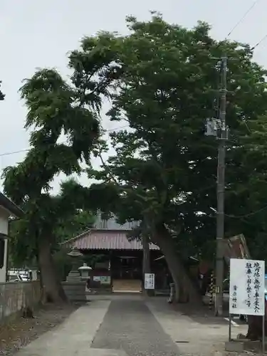 蒲原神社の建物その他