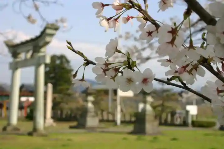 琵琶神社の自然
