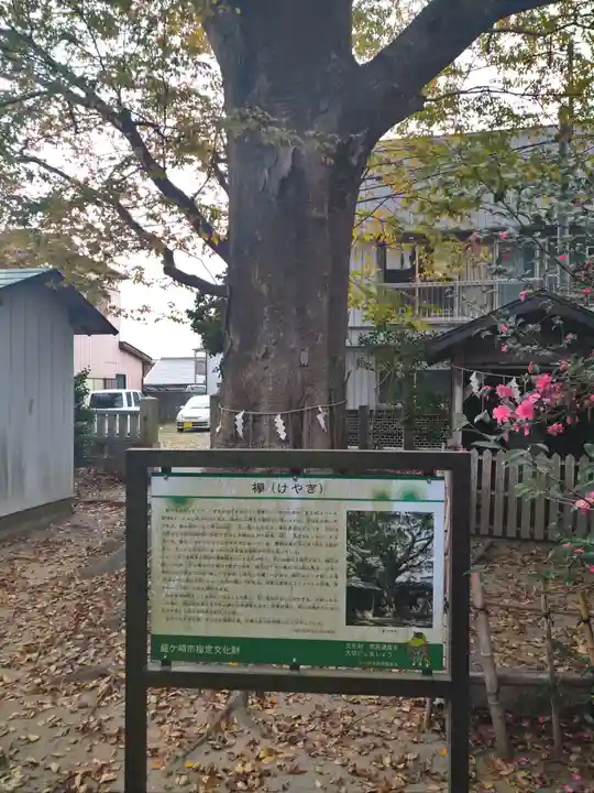 龍ケ崎八坂神社の歴史