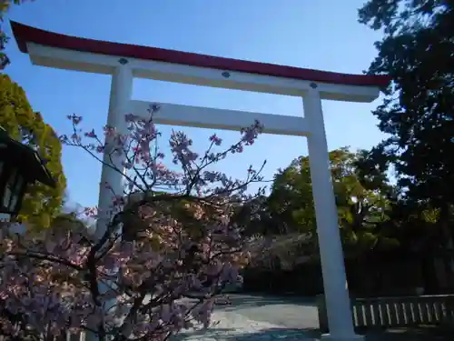 鎌倉宮の鳥居