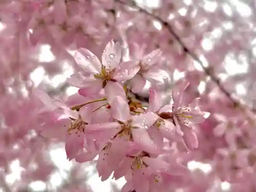 蚊里田八幡宮の{uncategorized: "未分類", other: "その他", undefined: "問題あり", building: "その他建物", grave: "お墓", sacred_gate: "鳥居", guardian: "狛犬", statue: "像", buddha: "仏像", history: "歴史", nature: "自然", garden: "庭園", animal: "動物", pagoda: "塔", temizu: "手水舎", mountain_gate: "山門・神門", sanctuary: "本殿・本堂", subordinate: "末社・摂社", art: "芸術", scenery: "景色", jizo: "地蔵", ema: "絵馬", goshuin: "御朱印", omikuji: "おみくじ", items: "授与品その他", amulet: "お守り", goshuincho: "御朱印帳", eats: "食事", festival: "お祭り", votive_dance: "神楽", shichigosan: "七五三参", wedding: "結婚式", experience: "体験その他", initially: "初詣", around: "周辺", anti_infection: "感染症対策"}
