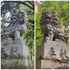 戸隠神社奥社(長野県)