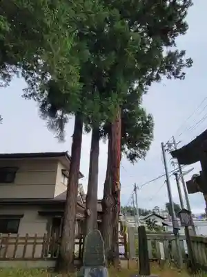 御作田社の自然