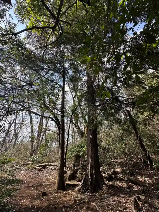 金比羅宮(神奈川県)