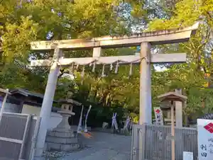 刺田比古神社の鳥居(2025年11月05日(水) 06時09分52秒投稿)
