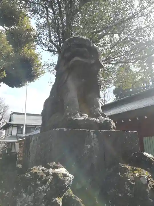 大國魂神社の狛犬