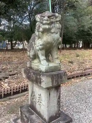 八幡社(柏井町)の狛犬