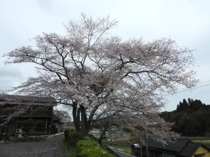 荘厳寺(岐阜県)