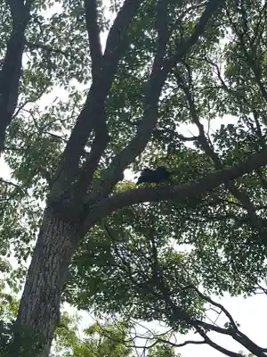 宗像大社(福岡県)