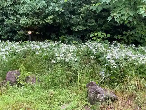 八事山 興正寺の自然