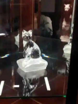 猫猫寺(京都府)