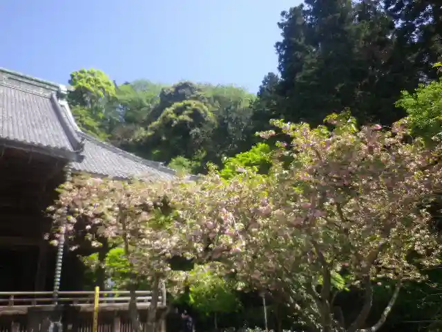 妙本寺のその他建物