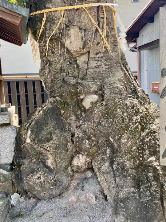 櫟谷七野神社(京都府)