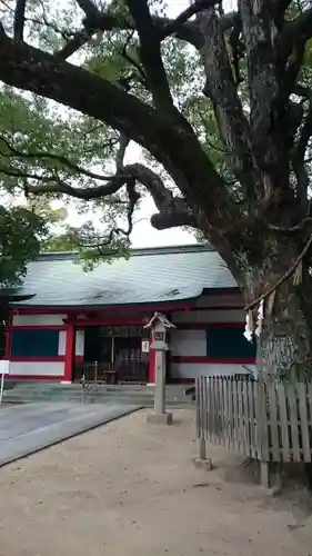 大依羅神社の本殿