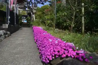 横浜御嶽神社(神奈川県)