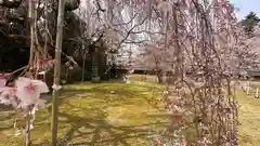 醍醐寺(京都府)